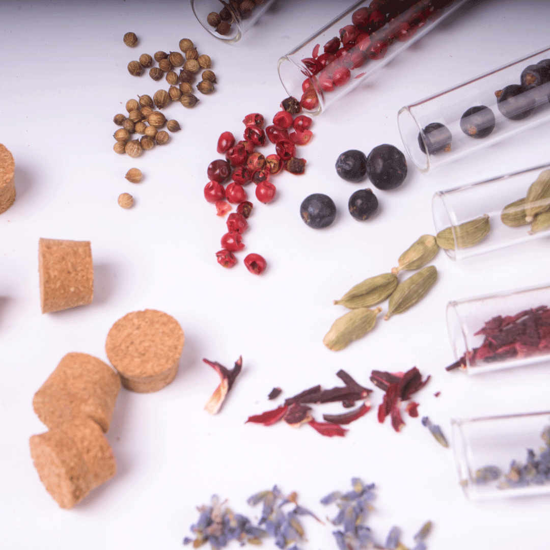 Capire le Botaniche del Gin